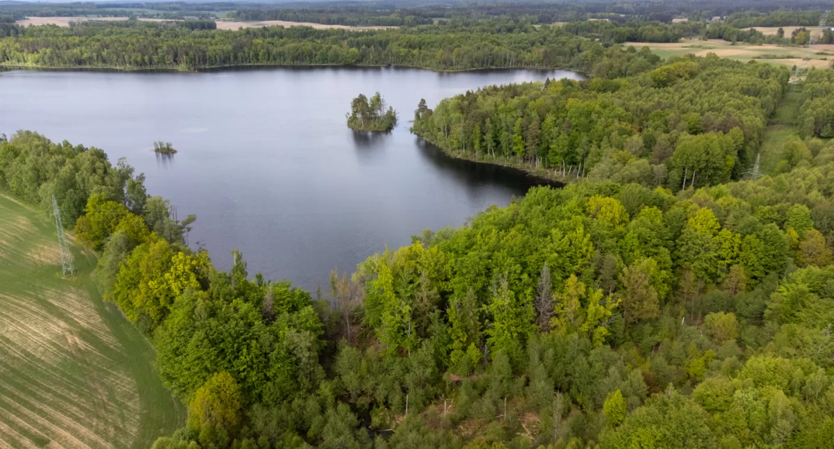 Dokąd na niedzielny spacer? Jezioro Smołowe – źródło Brdy