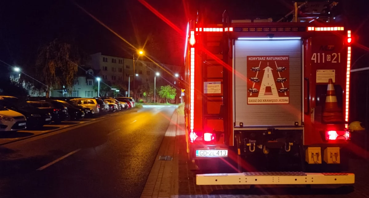 Nocna akcja strażaków z Chojnic. Uratowali kota, który utknął między płytami
