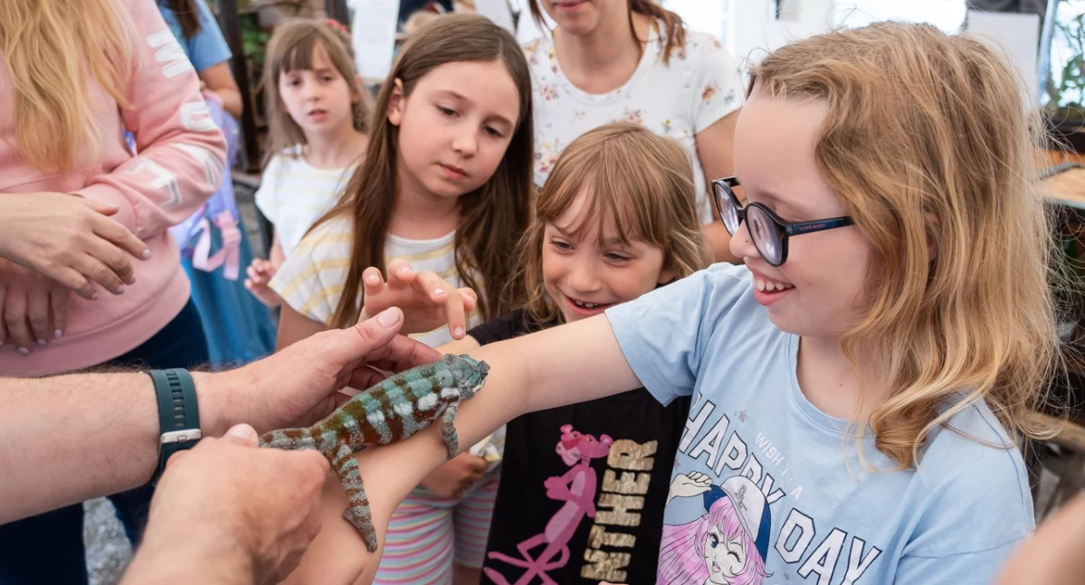 Park Tysiąclecia tętnił życiem! Ekologiczny festyn przyciągnął tłumy