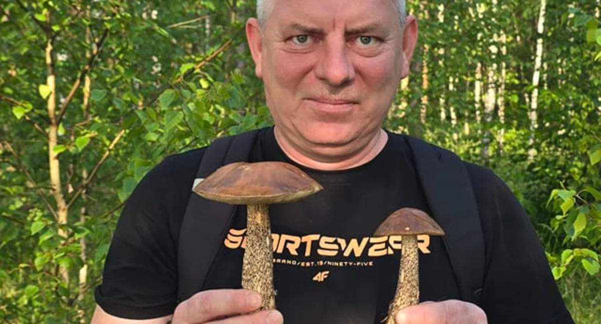 Deszcze przyniosły pierwsze grzyby! Kurki, koźlaki, kanie i prawdziwki w lasach koło Chojnic