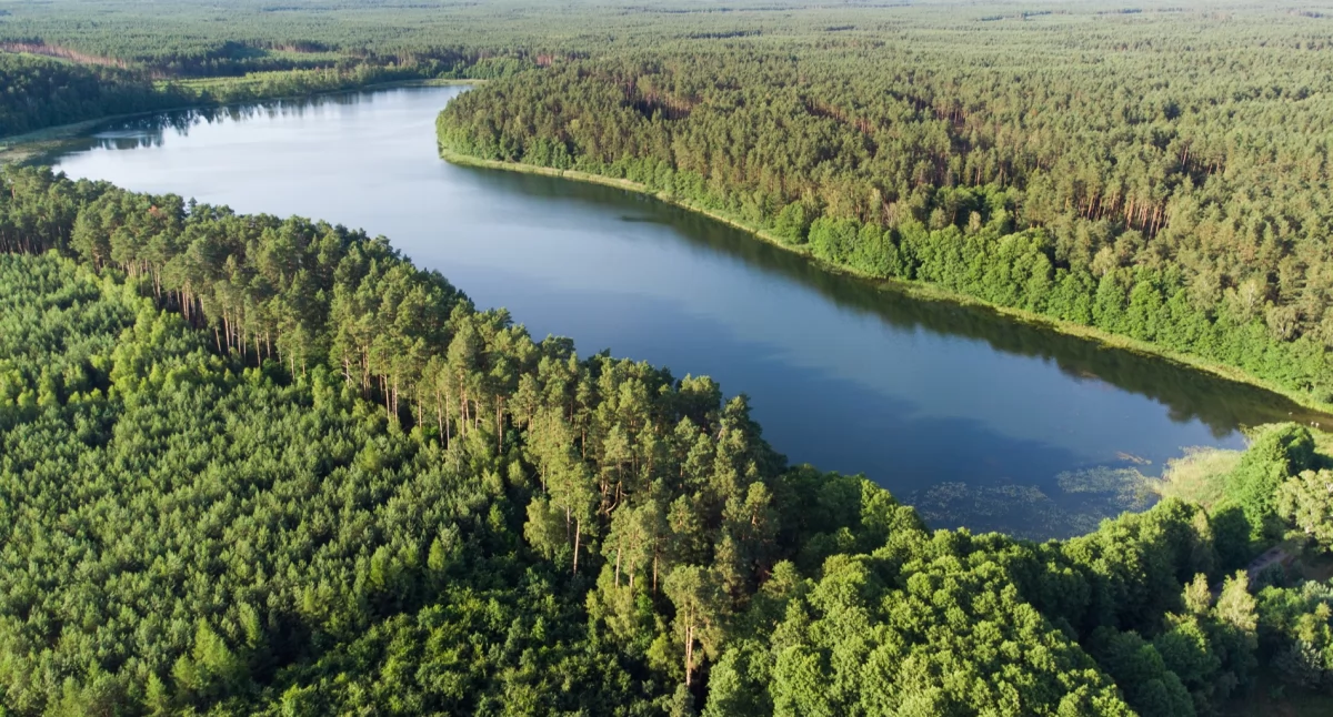 Czysta woda na start wakacji. Sanepid sprawdził kąpieliska w regionie