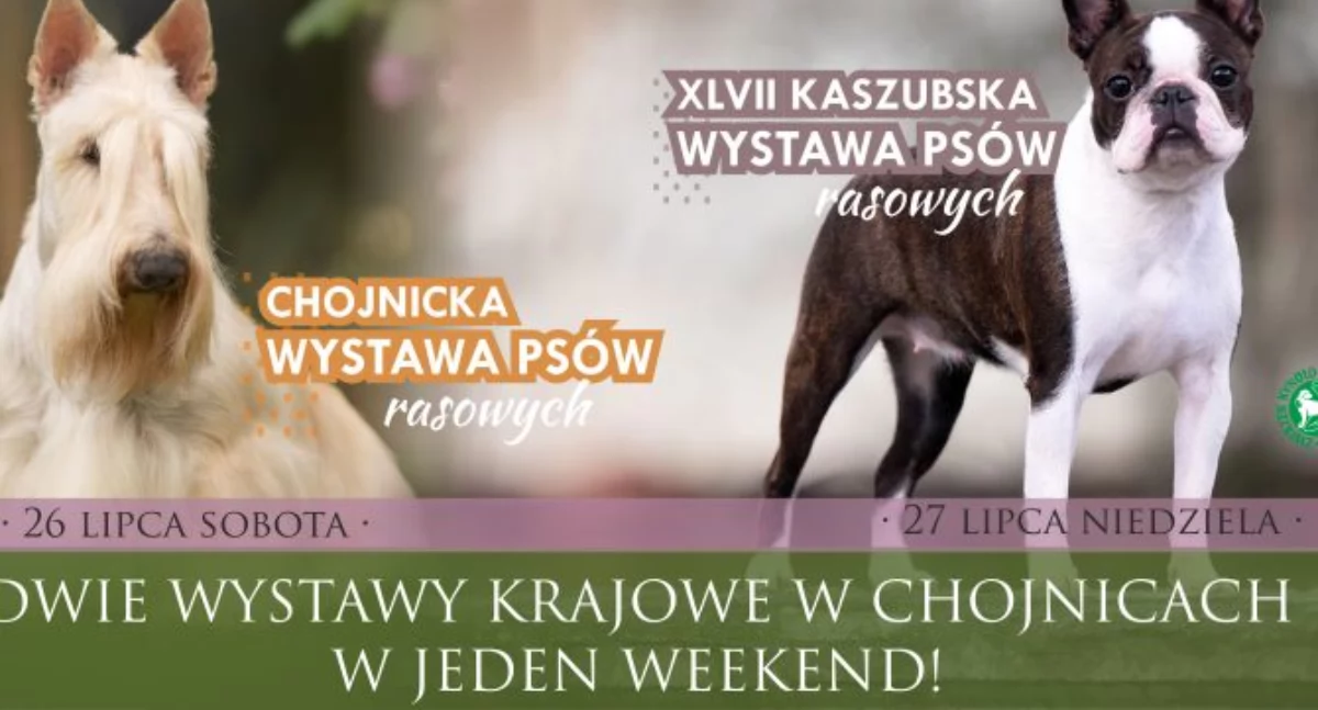 Chojnice na czterech łapach! Weekendowa wystawa psich piękności w Parku 1000-lecia