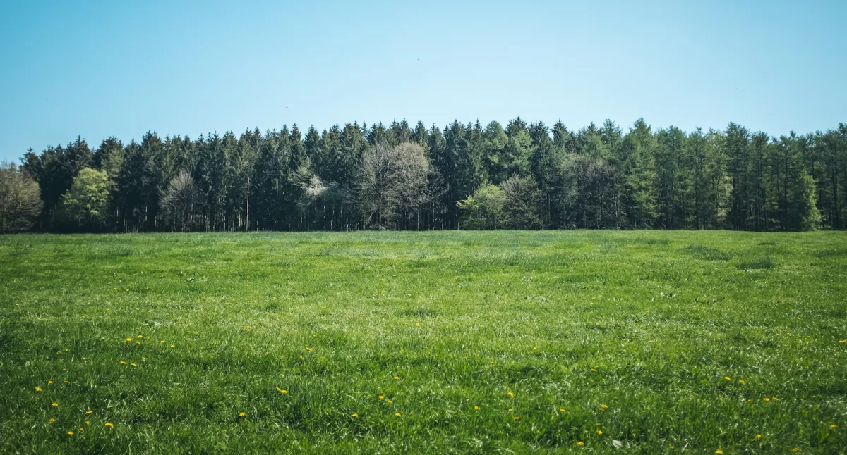 ​Jak zweryfikować działkę przed zakupem?