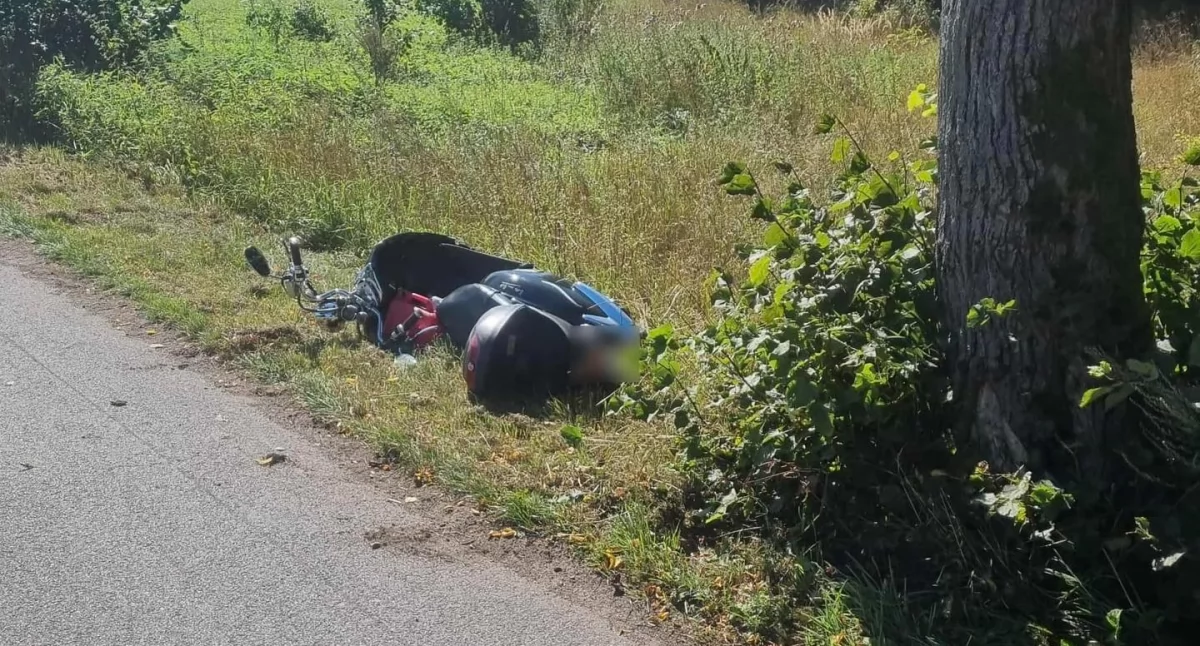 Uderzył w drzewo, droga zablokowana