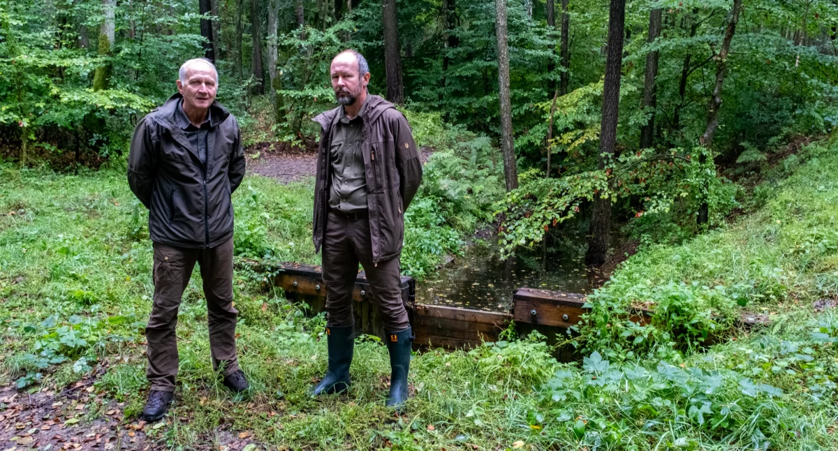 Nowa zastawka i retencja w lasach – jak zmienia się gospodarowanie wodą w Borach Tucholskich