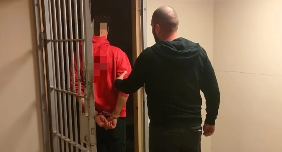 Policjanci zabezpieczyli sześć krzaków konopi i marihuanę