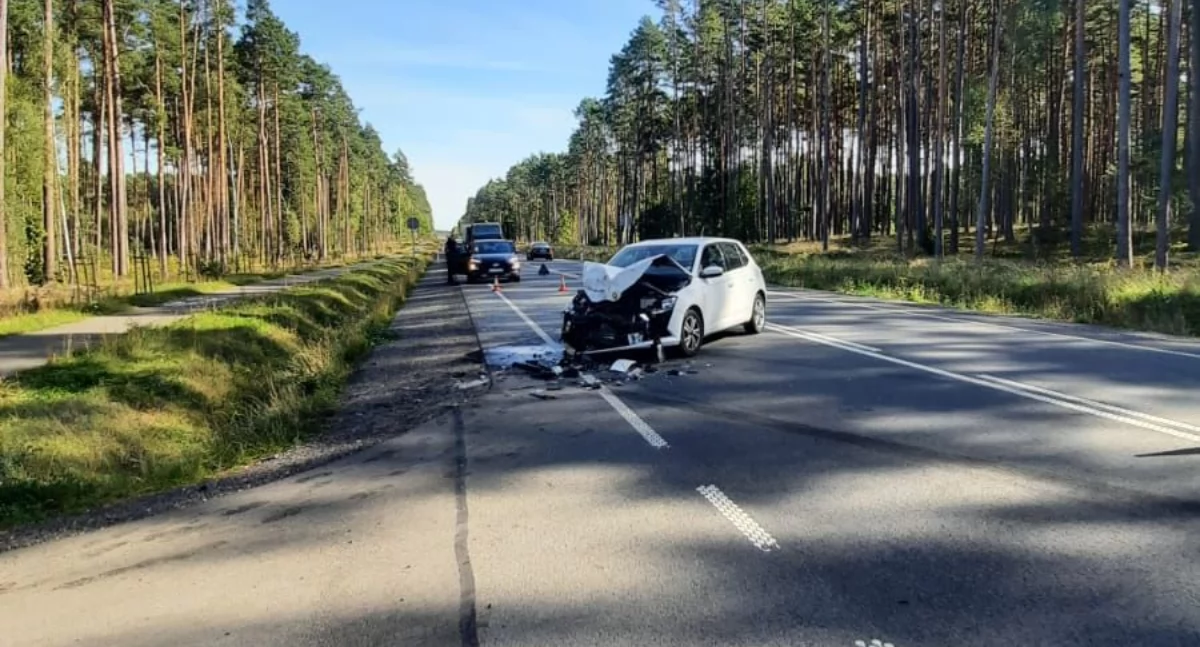 Policja poszukuje świadków wypadku na DK22 pod Nieżurawą
