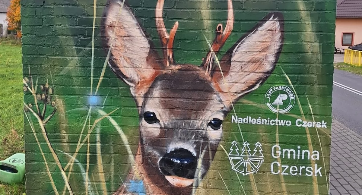 Jak się wam podobają murale na przystanku w Gotelpiu?