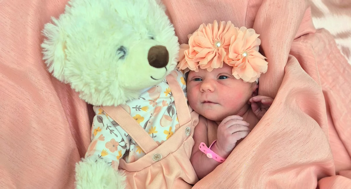 Edmund, Felicjan, Amelia, Jan i Maja – nasze nowe maluchy!