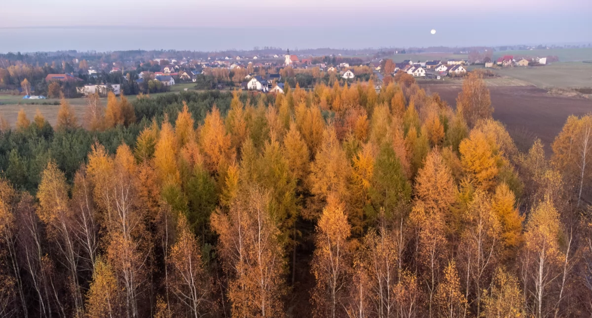 Już dziś wielki koncert charytatywny w Nowej Cerkwi. Strażacy zapraszają