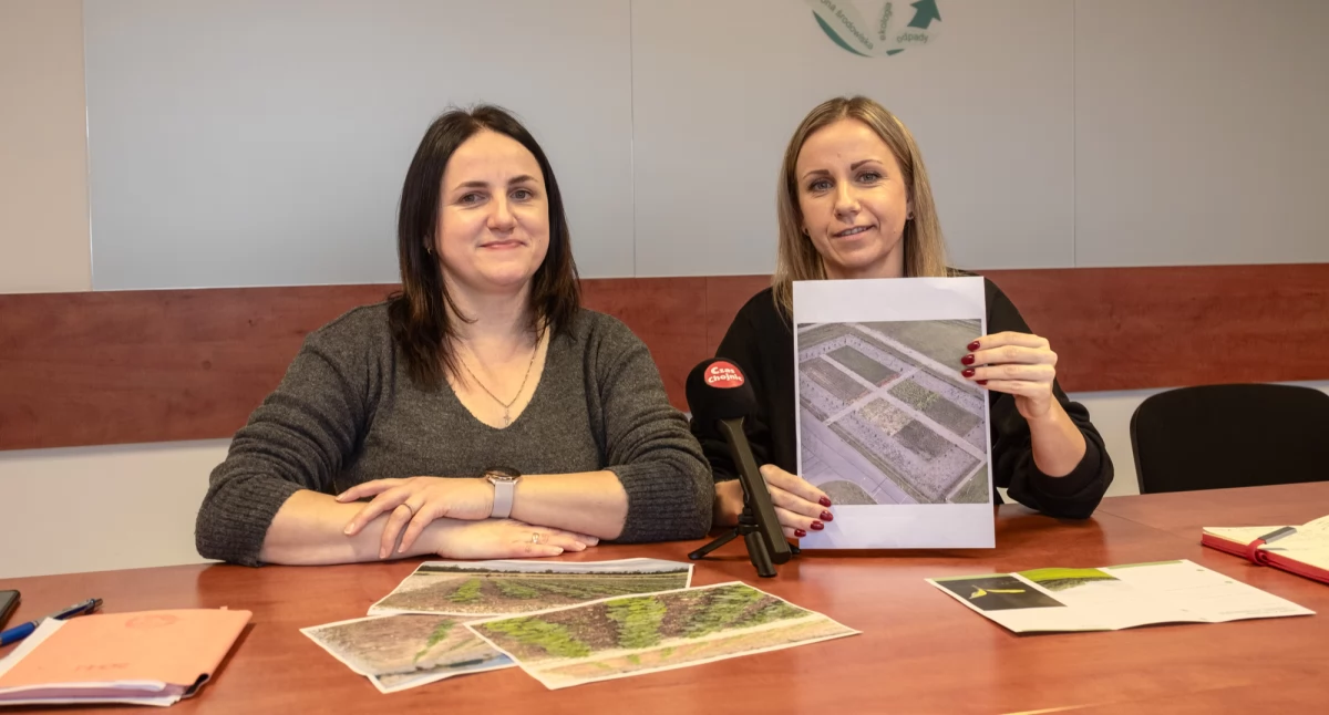 Dynie nie kłamią: najlepsze rosną na dobrych bioodpadach