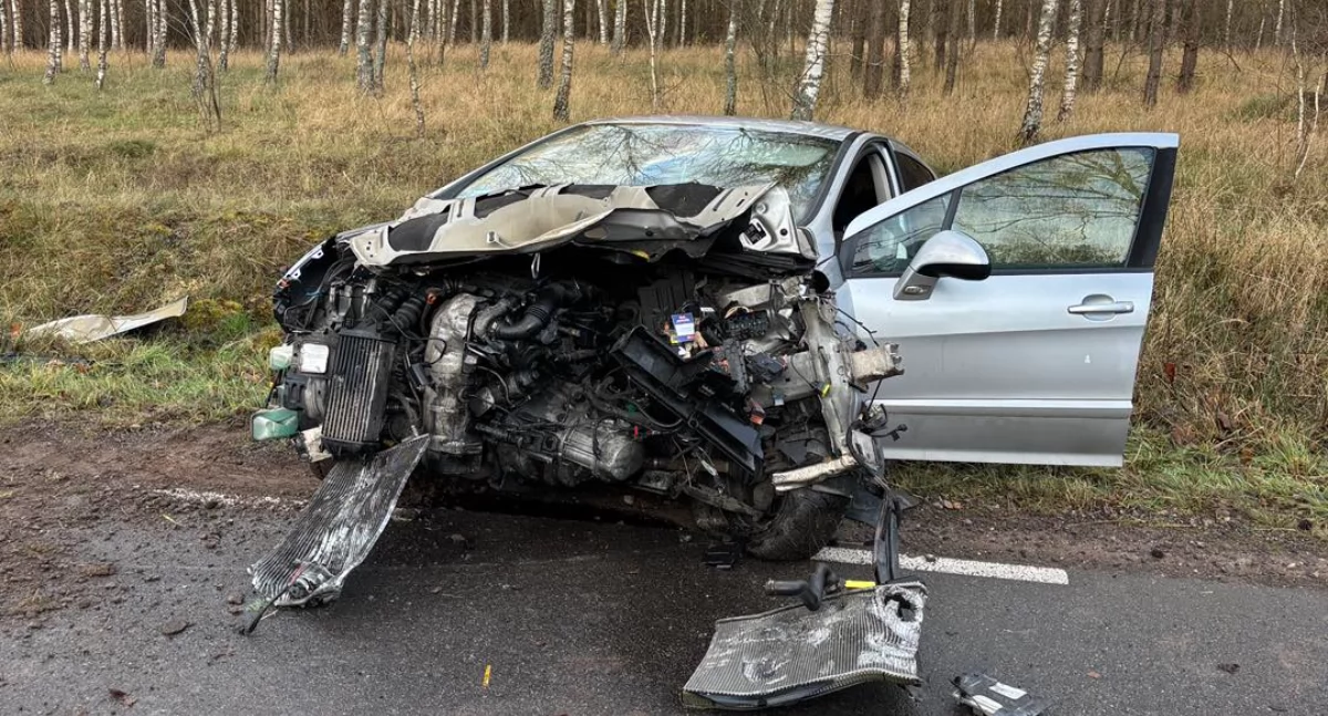 Auto uderzyło w drzewo, jedna osoba z bólem ręki