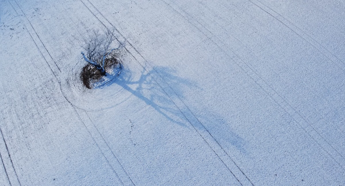 Chojnicki grudzień bardziej jak październik — termometry pokazały już 10,3°C