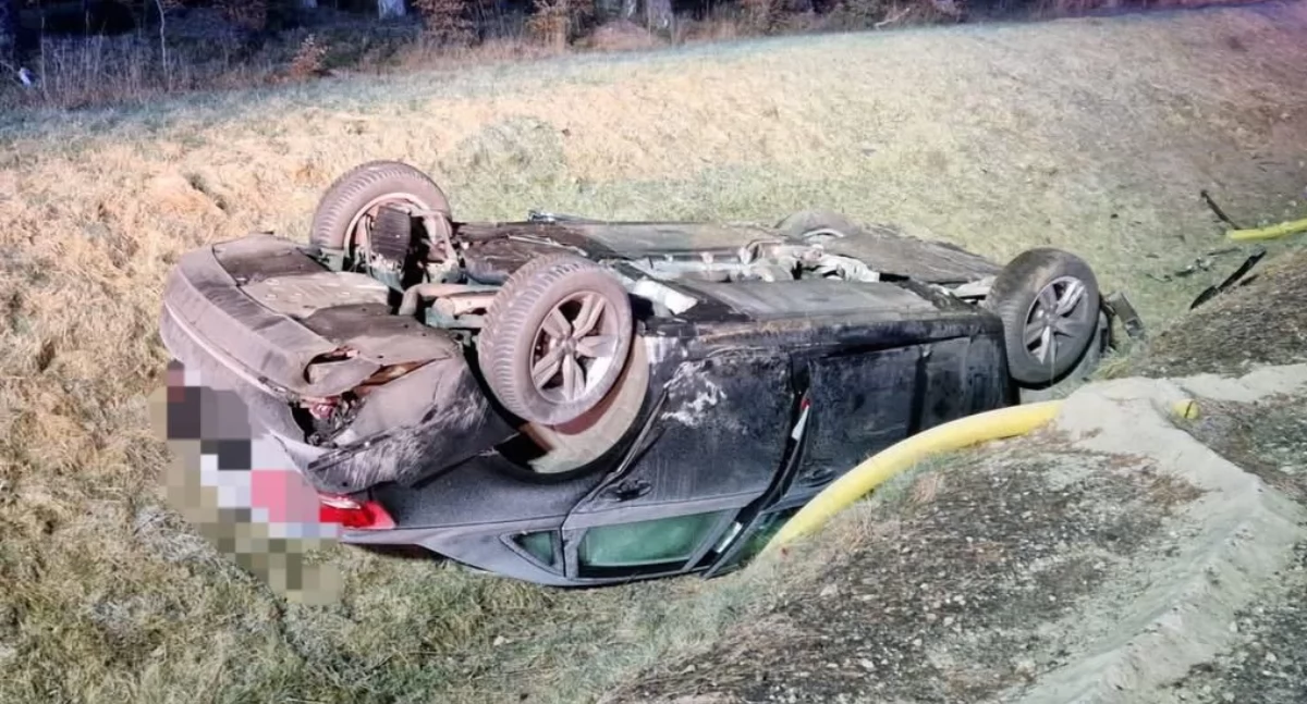 Sarna wbiegła na jezdnię. Dachowanie audi na drodze krajowej nr 22