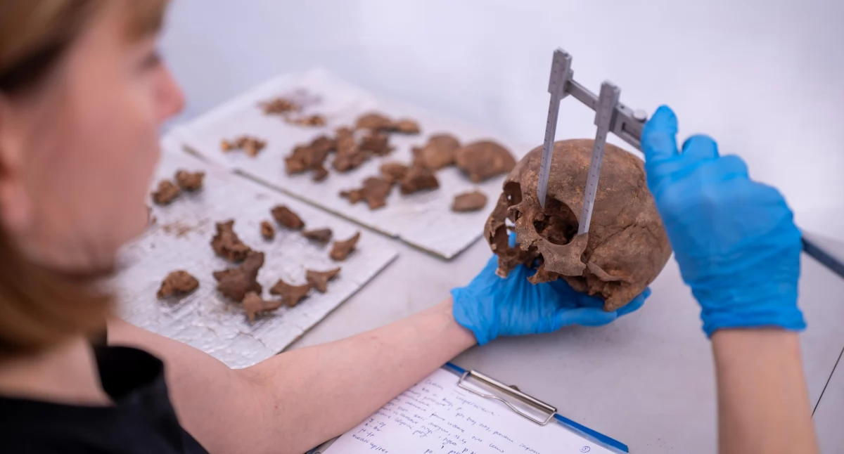 Daniel Frymark wśród nominowanych do Archeologicznych Sensacji 2025