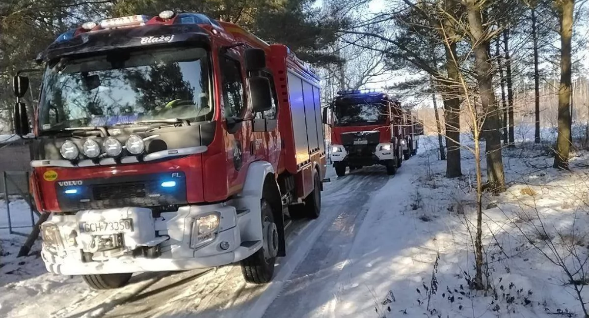 Pożar domku letniskowego w Lutomiu. Na szczęście nikt nie ucierpiał