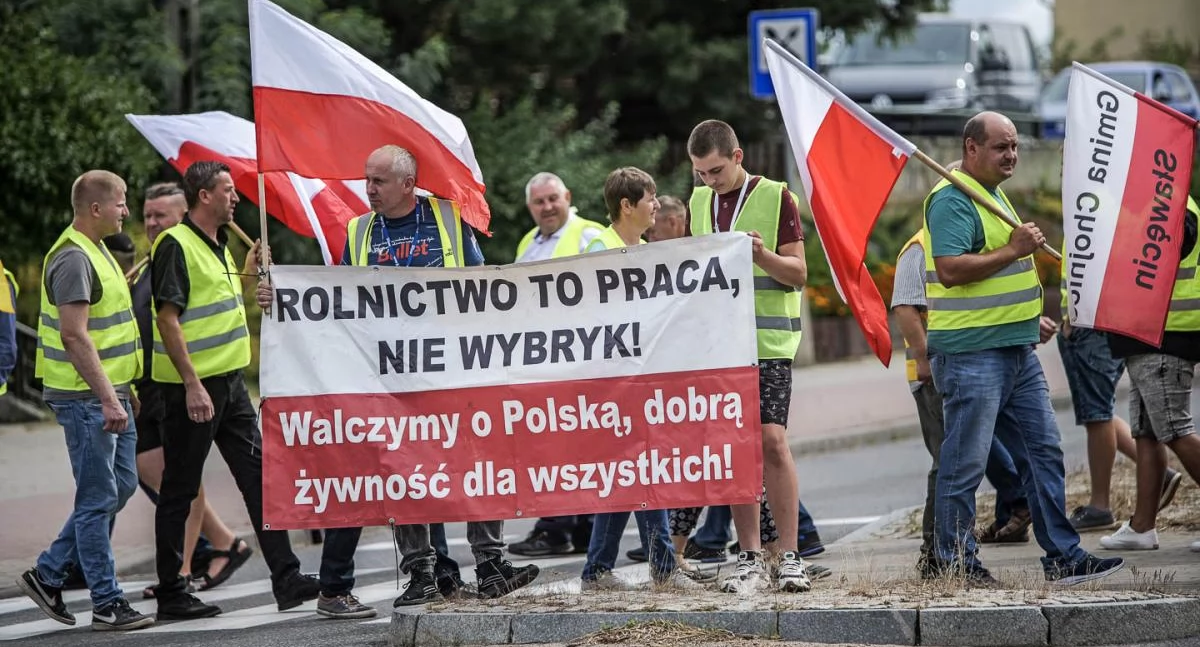 Brak zapłaty za bydło. KOWR wyjaśni procedury wypłat z Funduszu Ochrony Rolnictwa