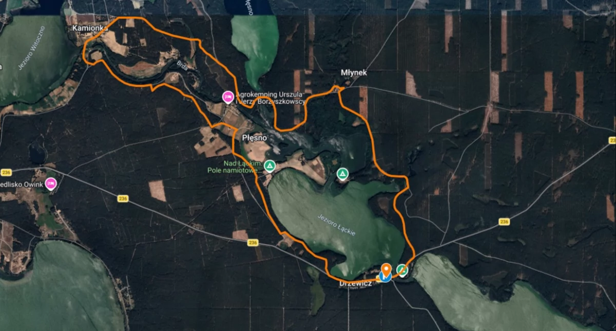 Spacer po mokradłach z przewodnikiem. Zaprasza Zaborski Park Krajobrazowy 