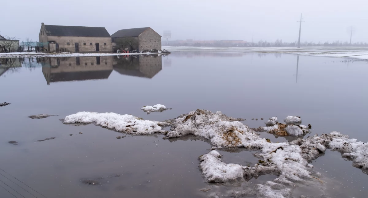 Roztopy i deszcz zalewają drogi i pola w gminie Chojnice
