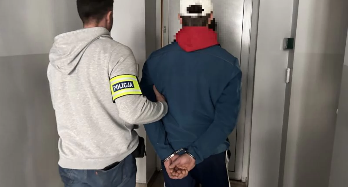 Włamania do dwóch posesji w Chojnicach. Policja zatrzymała podejrzanego