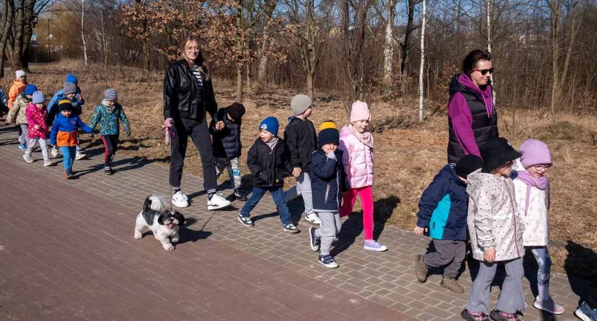 Przedszkole im. Janusza Korczaka stawia na spacery i zabawę w naturze