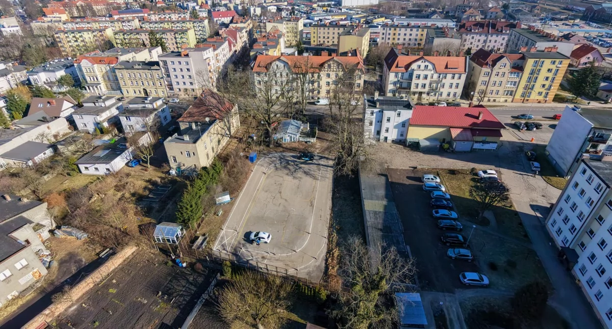 Pomnik przyrody czy własność prywatna? Komisja wstrzymuje się z decyzją