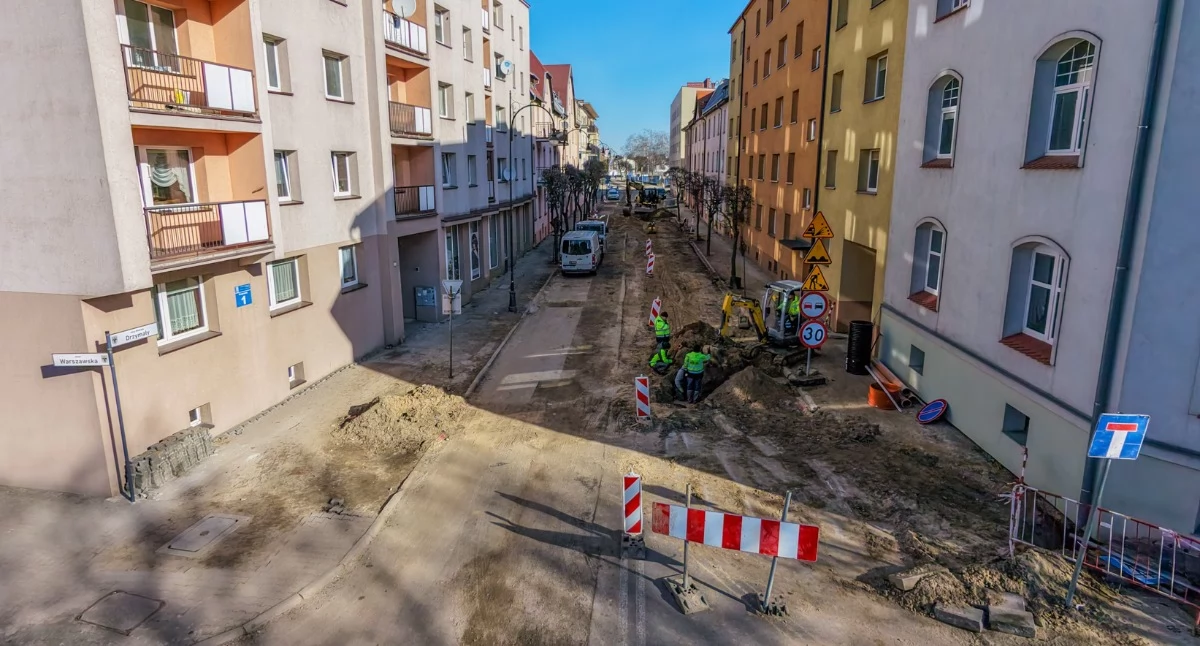 Spór o drzewa przy ul. Drzymały. Radni pytają o zabezpieczenia