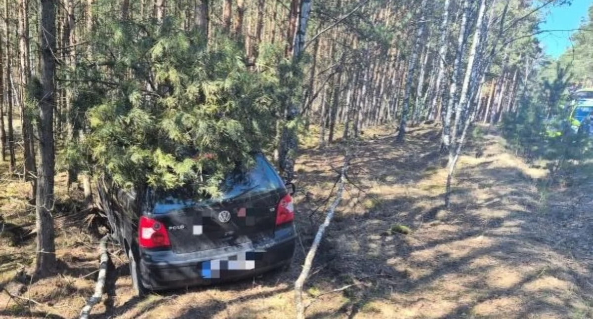 Sam zgłosił zdarzenie. Policja ustaliła, że był pijany i bez uprawnień