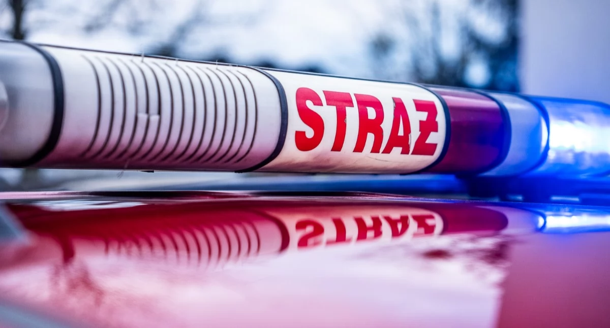 Zostań strażakiem. Trwa rekrutacja do Państwowej Straży Pożarnej