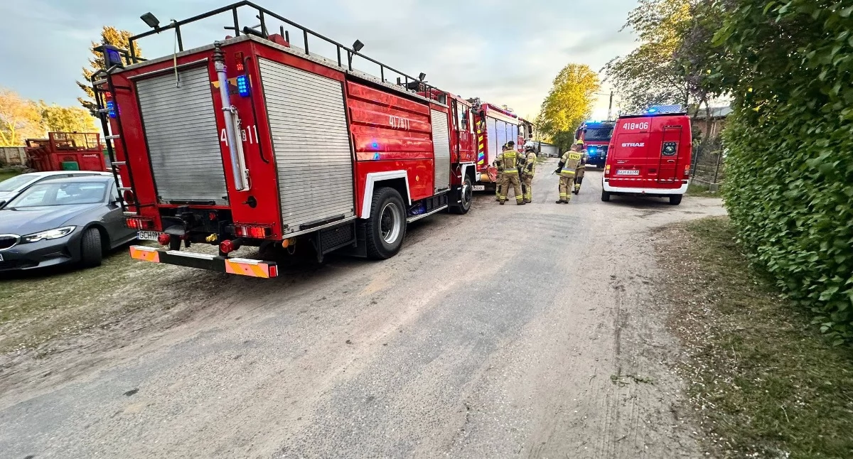 Groźny pożar chlewni w Chojnicach. Strażacy rozbierali dach budynku