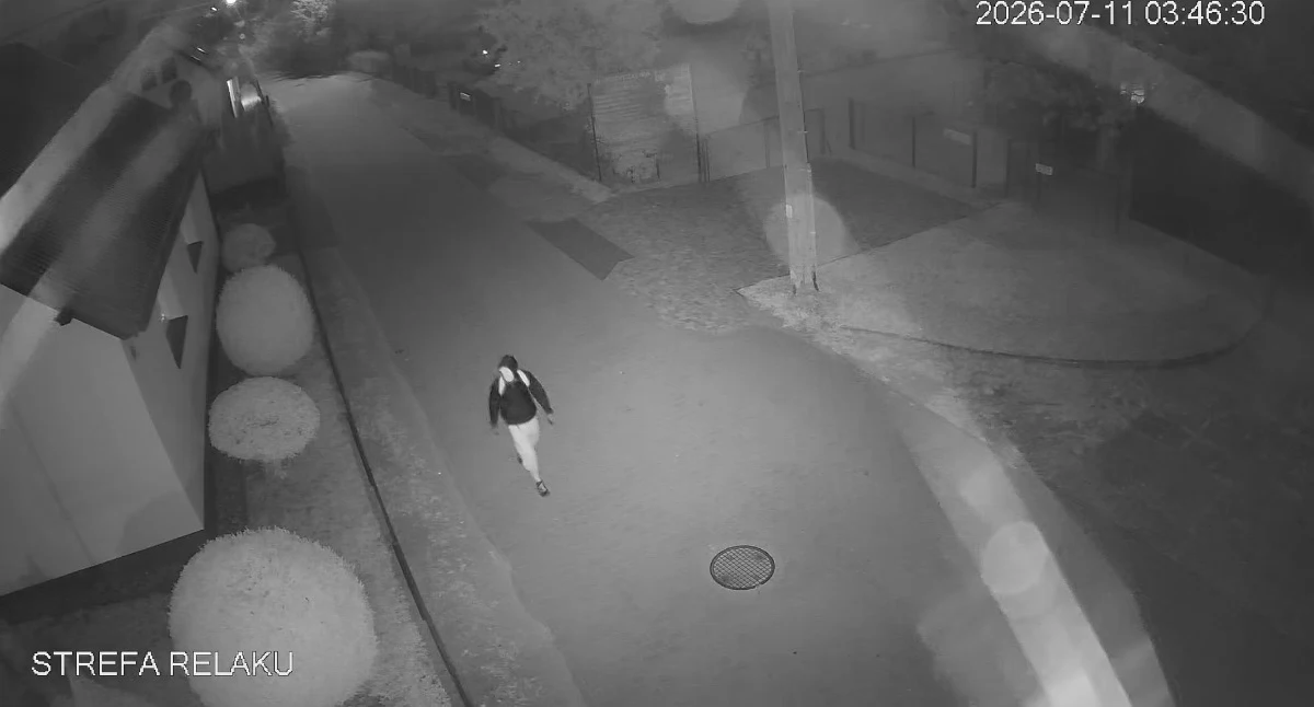 Kradzież samochodowych lusterek w Swornegaciach. Zamaskowany sprawca na nagraniu