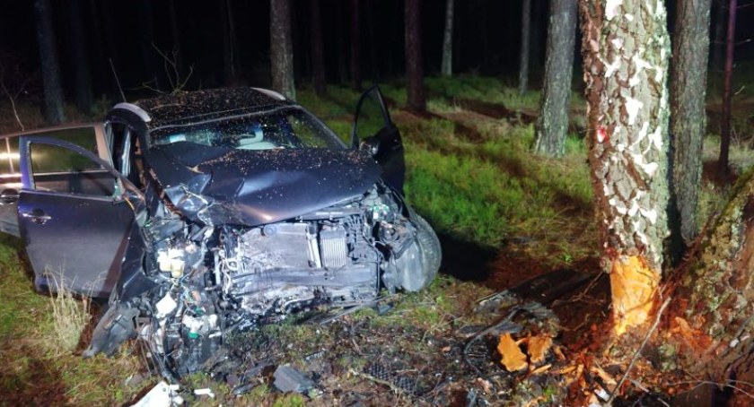 Wypadek w Drzewiczu. Zwierzę na drodze, samochód na drzewie