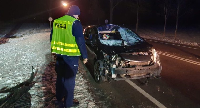 Pod Łęgiem Kolonią łoś wpadł na osobówkę. Skąd zwierzę się tam wzięło?