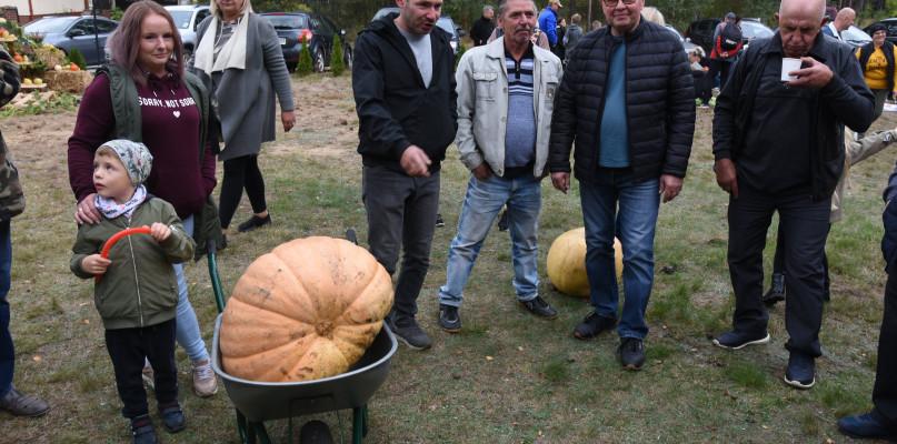 Święto bani i pszczół w Złotowie (FOTO)