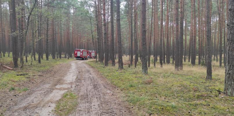 Jest już potwierdzenie. Znaleziono zwłoki Mateusza