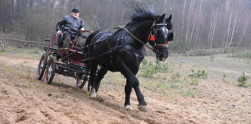 Konna impreza w Nieżywięciu (GALERIA)