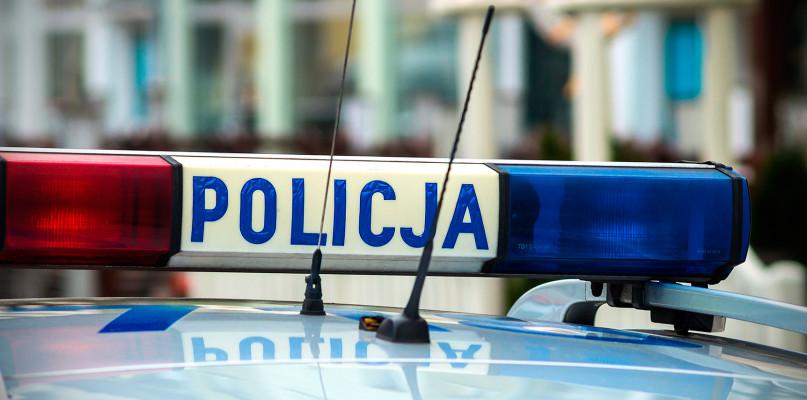 Zaatakował dziewczynkę spacerującą z psem