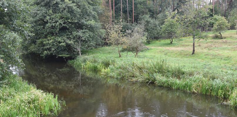 Konkurs „Jesień na Kaszubach”