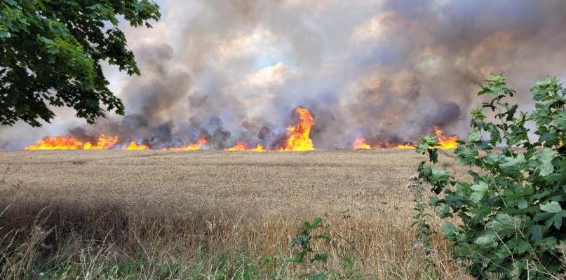 Pożar pola w okolicy Kokoszki
