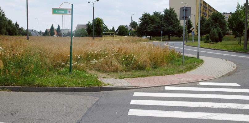 Wysoka trawa utrudnia widoczność? Niekoniecznie