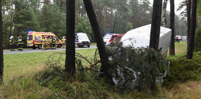 Bus uderzył w drzewo pod Gutowcem (FOTO)