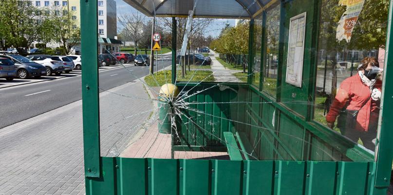 Takie przystanki nie są chlubą miasta