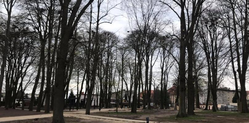 Będą płoszyć gawrony?