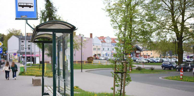 Nowe trasy miejskich autobusów