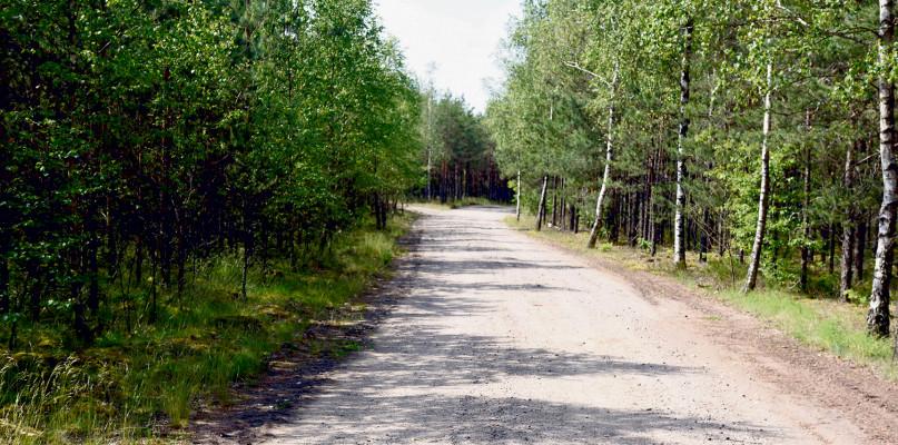 Prywatny interes przy równaniu drogi?