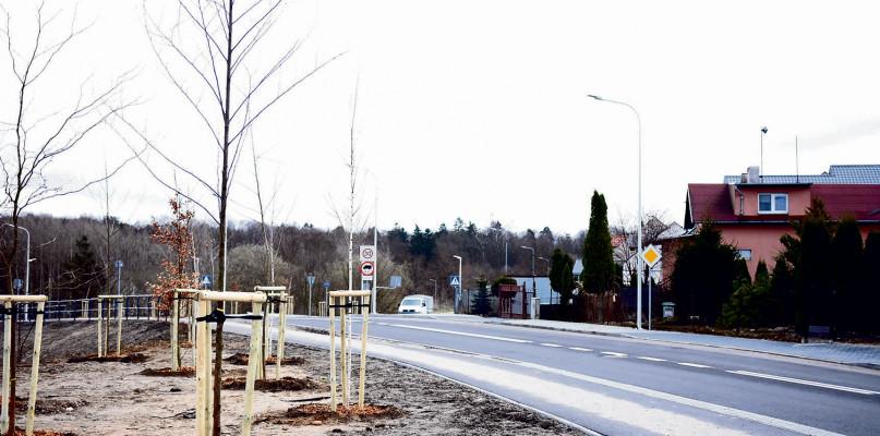 Wkopują drzewka, posieją trawę