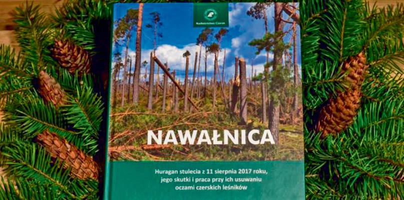 Książka o nawałnicy i odradzaniu lasu