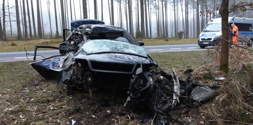 Audi uderzyło w drzewo pod Gutowcem (FOTO)