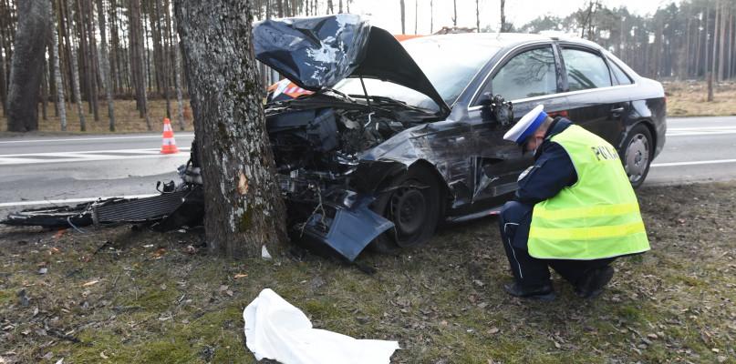Kierowca audi uderzył w drzewo