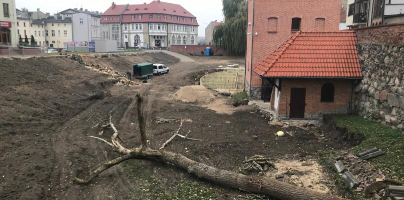 100 drzew dla Jana Pawła II. Tych w fosie uratować się nie dało